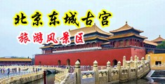 女生下面被戳出水的视频免费中国北京-东城古宫旅游风景区